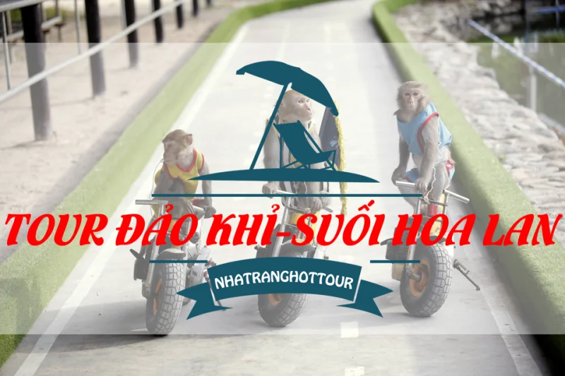 Tour Đảo Khỉ Suối Hoa Lan Nha Trang (Tour Long Phú) “Đi Là Mê”