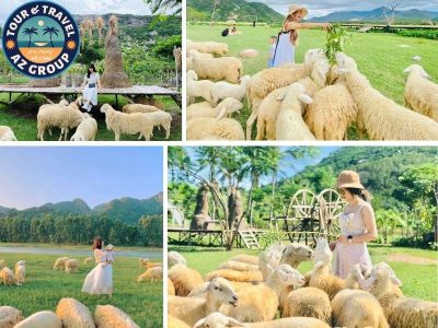 Lạc vào thế giới cổ tích tại Đồng Cừu Suối Tiên