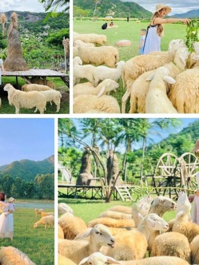 Lạc vào thế giới cổ tích tại Đồng Cừu Suối Tiên