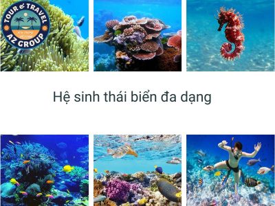 Vùng biển có hệ sinh thái phong phú bậc nhất Việt Nam