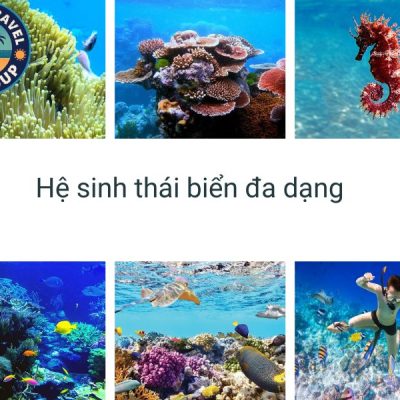 Vùng biển có hệ sinh thái phong phú bậc nhất Việt Nam