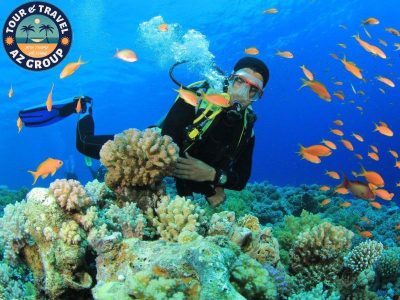 Phiêu lưu giữa rạn san hô đầy màu sắc và đàn cá tung tăng với bình hơi