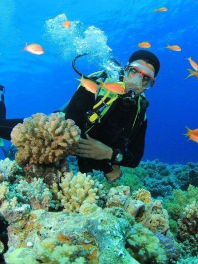 Phiêu lưu giữa rạn san hô đầy màu sắc và đàn cá tung tăng với bình hơi