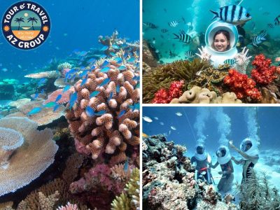 Trải nghiệm đi bộ dưới nước và chạm tay vào những rạn san hô rực rỡ