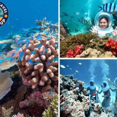 Trải nghiệm đi bộ dưới nước và chạm tay vào những rạn san hô rực rỡ