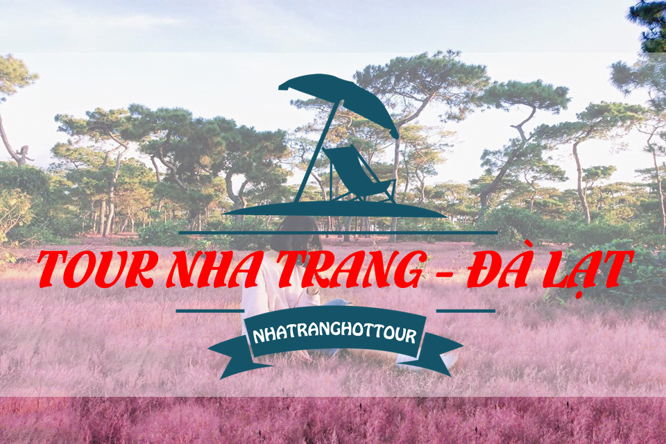 Tour Nha Trang Đà Lạt 1 Ngày 2018 “Ngắm Hoa Toàn Hoa”