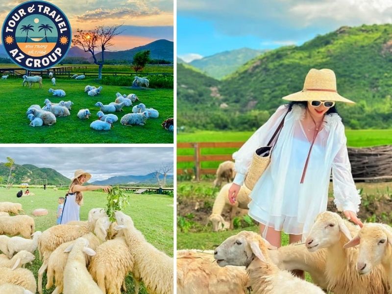 Khung cảnh tựa như chuyện cổ tích tại Đồng Cừu Suối Tiên