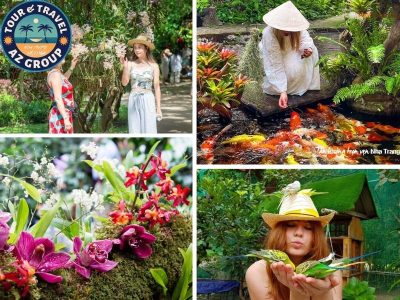 Tìm hiểu và ngắm nhìn hàng trăm loài lan khoe sắc