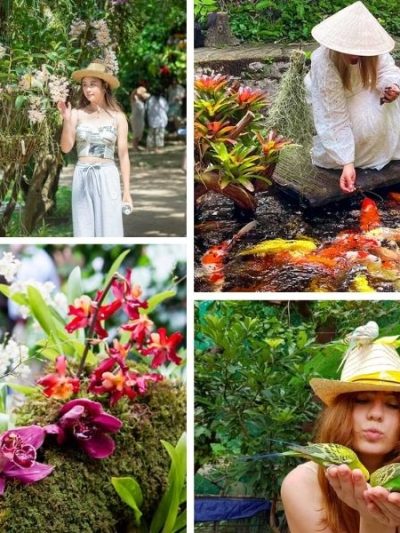 Tìm hiểu và ngắm nhìn hàng trăm loài lan khoe sắc