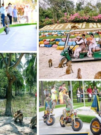 Xem xiếc vui nhộn tại “Vương quốc Khỉ”