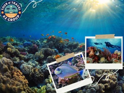 Chiêm ngưỡng những dải san hô rực rỡ dưới lòng đại dương