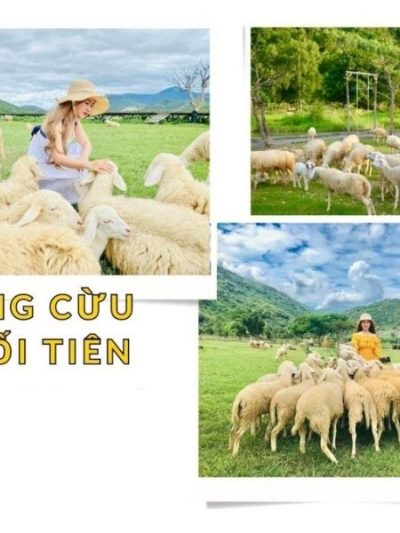 Lạc vào miền cổ tích tại Đồng Cừu