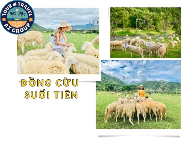 Combo Nha Trang 5 ngày 4 đêm Lạc vào miền cổ tích tại Đồng Cừu