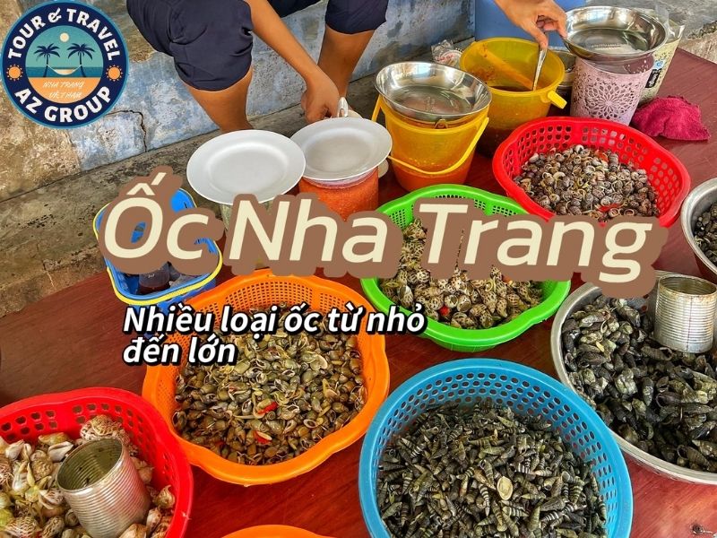 Đi Nha Trang ăn gì Đi Nha Trang ăn gì