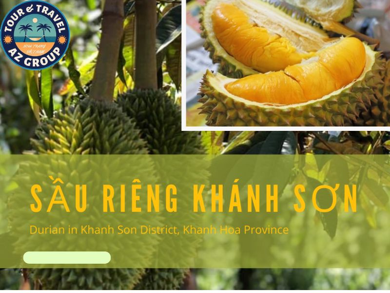 đi Nha Trang mua quà gì Sầu Khánh Sơn được mệnh danh là “Nữ hoàng” trái cây xứ biển