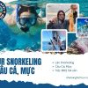 Tour Snorkeling & Câu Cá - Mực Nha Trang 1 ngày