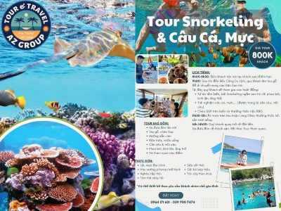 Giá Tour Snorkeling & câu cá, mực siêu hời