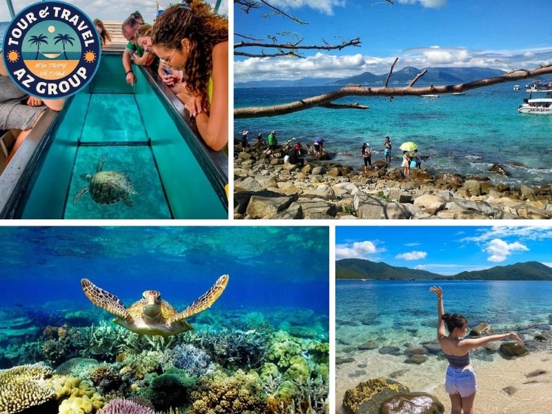 Tour đảo tổng hợp Hòn Mun được WFF công nhận là khu vực có mức độ đa dạng sinh học biển hàng đầu